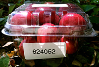PET Clam Shells (624052)