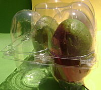 Mango Clamshell