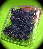 Blackberry Clamshell