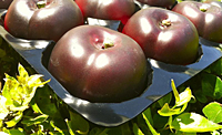 Euro PET Fruit Tray Liners / Half Liners