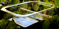 Pom Seed Tray