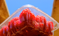 Raspberry2