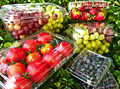 Agricultural Packaging