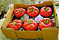 PET Fruit Tray Liners