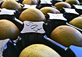 Metric PET Fruit Tray Liners / Half Liners
