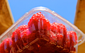 Raspberry2